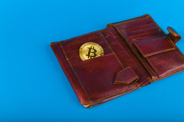 Leather wallet with gold coin labeled with the bitcoin logo.