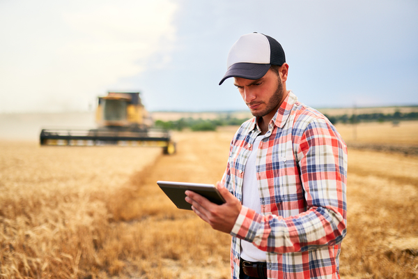 Farmer in the field using a tablet.