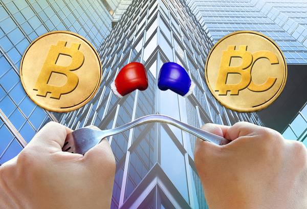 Bitcoin vs. Bitcoin Cash: What’s the Difference?