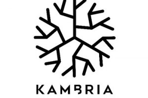 ICO Review: Kambria-A Blockchain-Powered Collaborative Ecosystem for Robotics